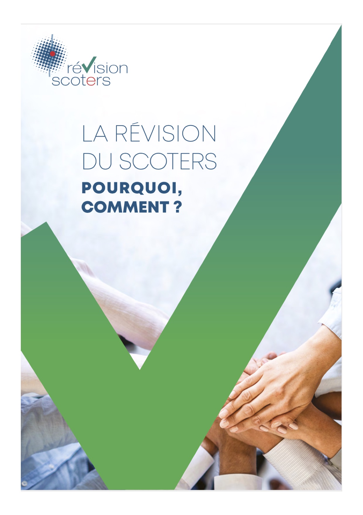 ImageRevisionScoters